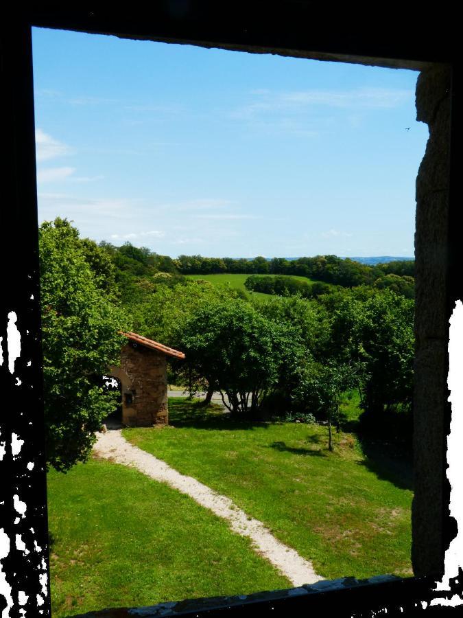 Grande Maison De Caractere En Pierres -Superbe Vue Saint-Cirgues  Экстерьер фото